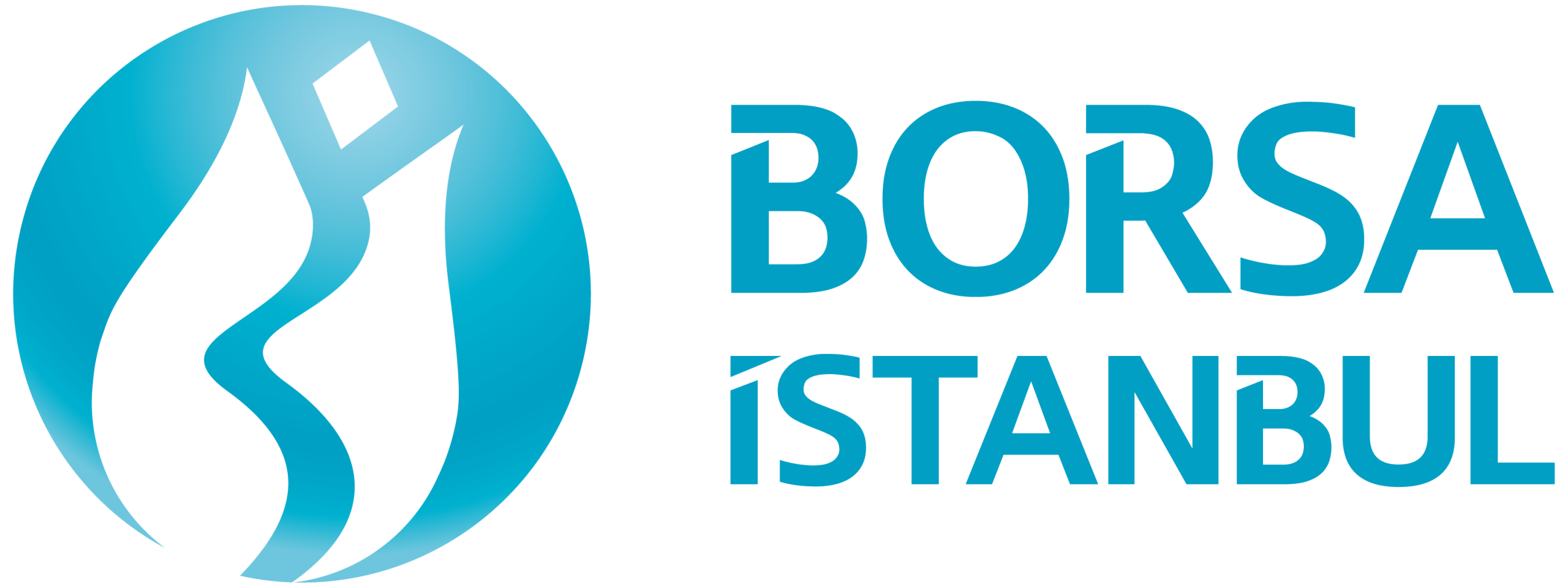 BIST Logo
